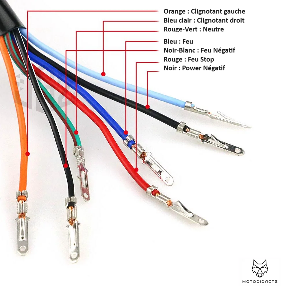 MASSY™ Universal 12V Meter 